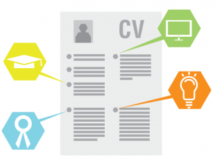 A CV with various elements highlighted by pointers.