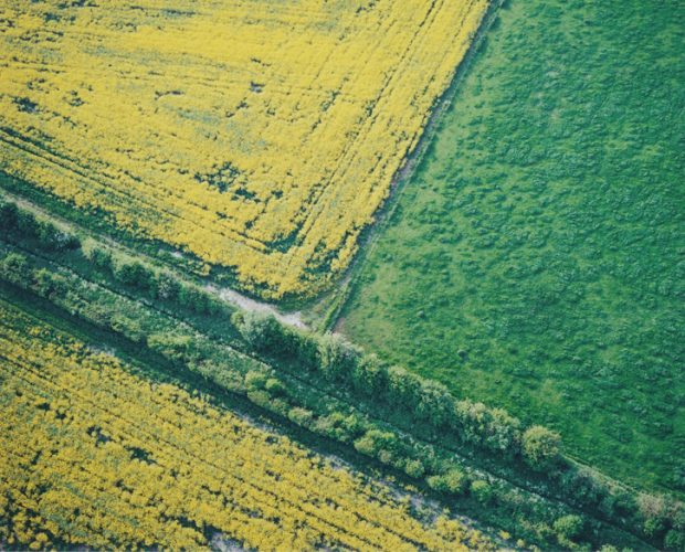 A pattern of fields in contrasting colours.