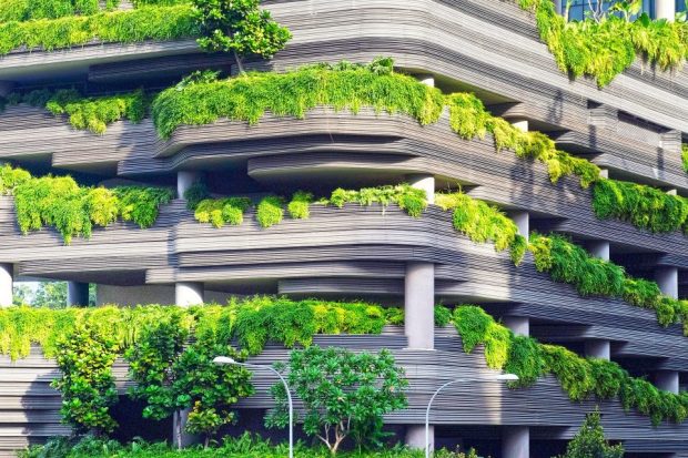 Green garage with vegetation growing over the balustrades.