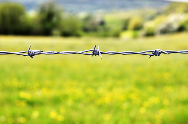 A strip of barbed wire in sharp focus, with a green field and a line of trees and bushes in softer focus behind.